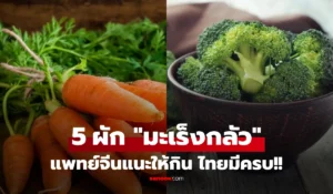  5 ผักที่ เซลล์มะเร็งกลัว