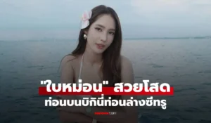 ใบหม่อน